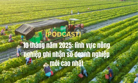 [Podcast] 10 tháng năm 2025: lĩnh vực nông nghiệp ghi nhận số doanh nghiệp mới cao nhất