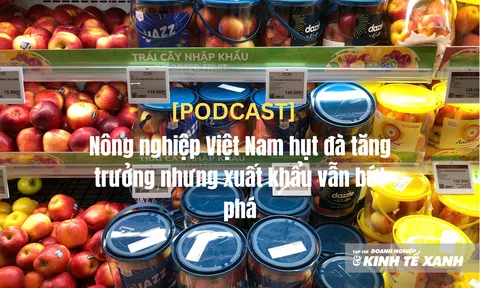 [Podcast] Nông nghiệp Việt Nam hụt đà tăng trưởng nhưng xuất khẩu vẫn bứt phá