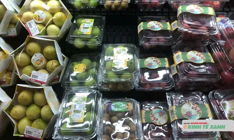 Trái cây nhập khẩu ‘chiếm sóng’ giỏ hàng Việt