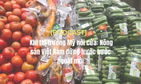[Podcast] Khi thị trường Mỹ nới cửa: Nông sản Việt Nam đứng trước bước ngoặt mới