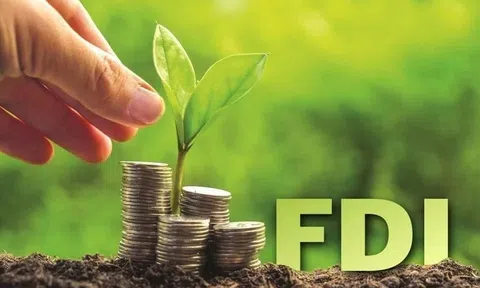 Việt Nam là điểm đến hấp dẫn của dòng vốn FDI “xanh”