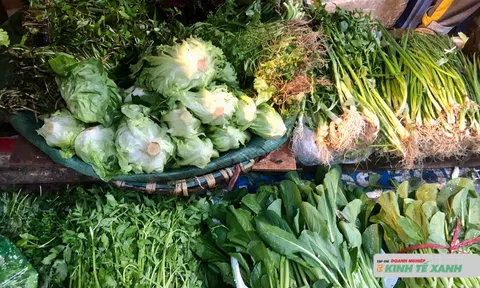 Giá rau Hà Nội hạ nhiệt sau “bão giá”, thị trường dần ổn định trước Tết
