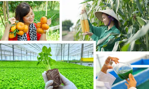 Nông nghiệp sinh thái ở Việt Nam: Đúng hướng nhưng chưa dễ đi xa