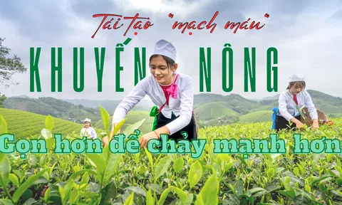 [Emagazine] Tái tạo “mạch máu” khuyến nông: Gọn hơn để chảy mạnh hơn