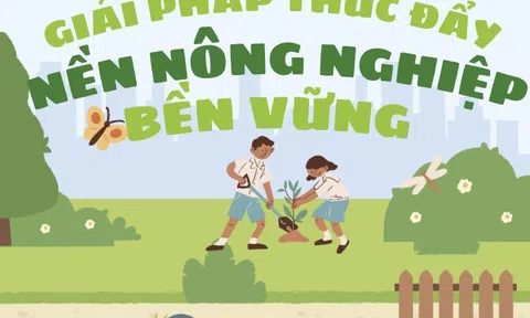 [Infographic] Giải pháp thúc đẩy nông nghiệp bền vững