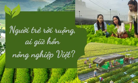 [Emagazine] Người trẻ rời ruộng, ai giữ hồn nông nghiệp Việt?