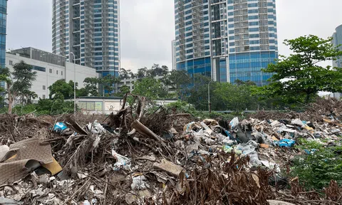 Bộ Nông nghiệp và Môi trường yêu cầu 7 tỉnh, thành phố khẩn cấp ứng phó ô nhiễm không khí