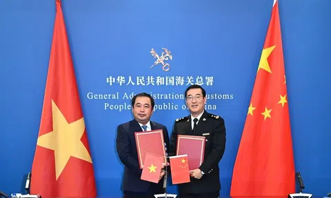 Việt Nam ký Nghị định thư xuất khẩu mít tươi sang Trung Quốc, mở rộng hợp tác nông sản
