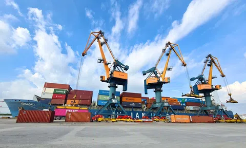 Viconship cử người vào HĐQT Vận tải và xếp dỡ Hải An