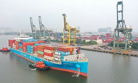 Cổ phiếu tăng gần gấp rưỡi kể từ đầu năm, Vận tải và Xếp dỡ Hải An chốt quyền nhận cổ tức tổng tỷ lệ 40%