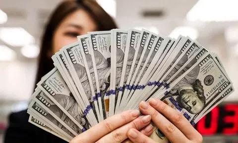 Tỷ giá USD/VND “hạ nhiệt”