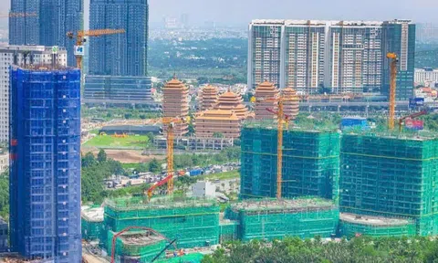 Căn hộ TP.Hồ Chí Minh lập mặt bằng mới, hơn 300 triệu đồng mỗi m2