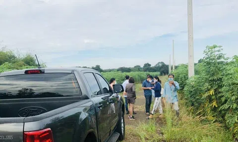 Đất nền “lép vế” trước chung cư, tiêu thụ nhỏ giọt