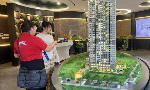 Giá căn hộ sơ cấp TP.HCM tiếp tục tăng, cán mốc trung bình gần 90 triệu đồng mỗi m2