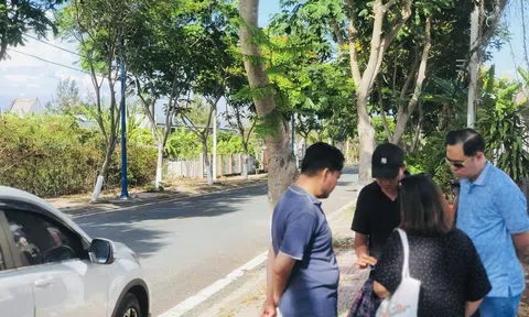 Chuyện gì đang diễn ra tại Cần Giờ, nơi có dự án Vinhomes Green Paradise?