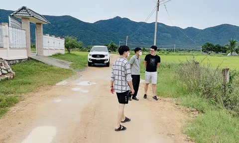 Bất ngờ với giao dịch đất nền và căn hộ tại Đà Nẵng