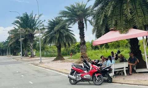 “Thế khó” của phân khúc đất nền