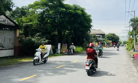 TP.Hồ Chí Minh chấp thuận cho 54 doanh nghiệp thí điểm nhận đất nông nghiệp làm nhà ở thương mại