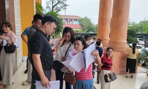 Làm thế nào để ngăn chặn tình trạng đẩy giá ảo trong đấu giá đất?