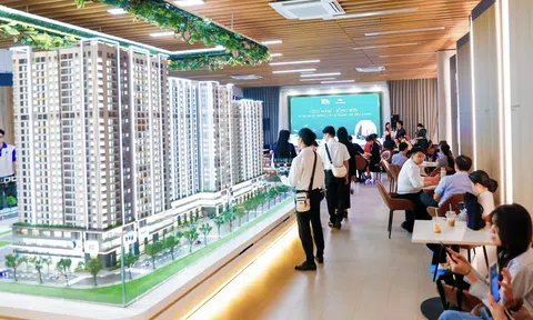 TP.HCM kiểm tra dự án bất động sản bán “lúa non”, tăng giá bất thường