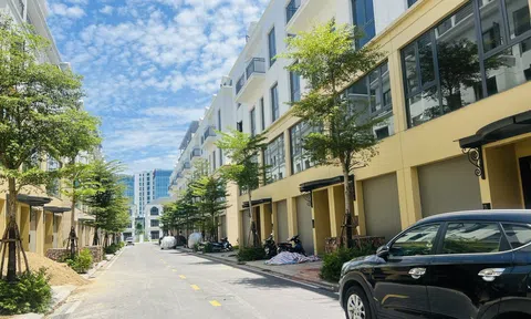 Diễn biến thú vị của thị trường địa ốc miền Nam cuối năm