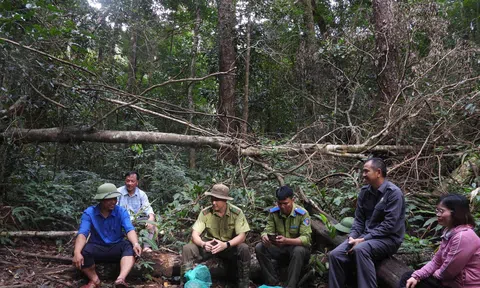 Gia Lai: 4 cá thể động vật hoang dã quý hiếm được trở về rừng