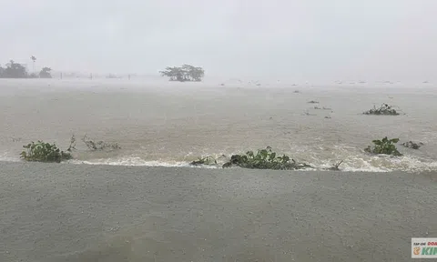 Mưa lớn gây lũ quét, ngập lụt nghiêm trọng tại Quảng Ngãi và Đà Nẵng