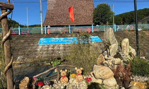 Quảng Ngãi: Công viên bích họa tri ân thầy cô giáo