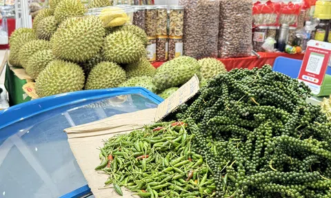 Chuyển đổi xanh cho công nghiệp nông thôn và phát triển bền vững