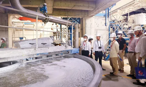 TP. Hồ Chí Minh cấp bách "xanh hóa" các khu công nghiệp