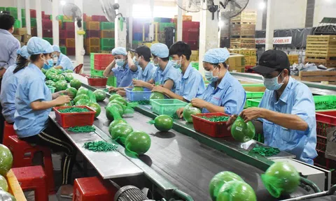 Tỉnh Bến Tre:  Tăng trưởng ấn tượng trong phát triển kinh tế - xã hội