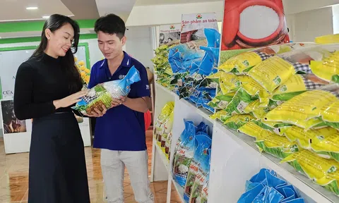 Cần Thơ thúc đẩy mô hình hợp tác chuyển đổi số, sản xuất tuần hoàn