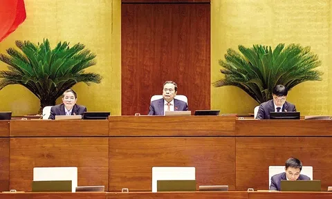 Đề xuất kéo dài thời hạn miễn thuế sử dụng đất nông nghiệp đến hết năm 2030