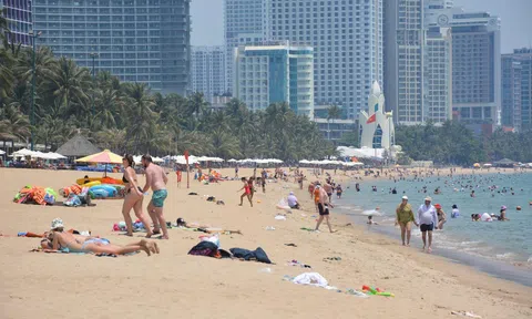 Nha Trang tổ chức Ngày hội toàn dân tắm biển năm 2025