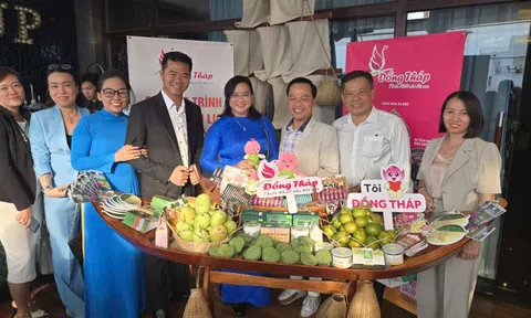 Đồng Tháp đẩy mạnh liên kết phát triển du lịch tại TP.HCM: Kết nối – Hợp tác – Cùng phát triển