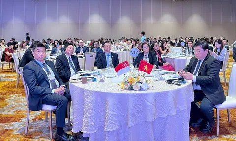 Khánh Hòa tăng tốc chuyển đổi xanh, thu hút các doanh nghiệp Singapore đầu tư