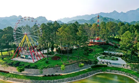 Khám phá Phoenix Mộc Châu Resort – Thiên đường nghỉ dưỡng xanh giữa lòng Tây Bắc