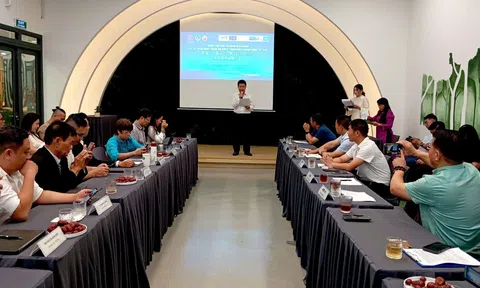 Doanh nghiệp Việt Nam – Trung Quốc thúc đẩy hợp tác kinh tế và xúc tiến thương mại bền vững