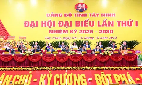 Đảng bộ Tây Ninh sau hợp nhất: Bứt phá chiến lược, kiến tạo động lực phát triển vùng Đông Nam Bộ