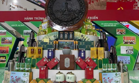 Tuyên Quang mang 478 sản phẩm OCOP tiêu biểu đến Triển lãm thành tựu 80 năm Quốc khánh 2/9