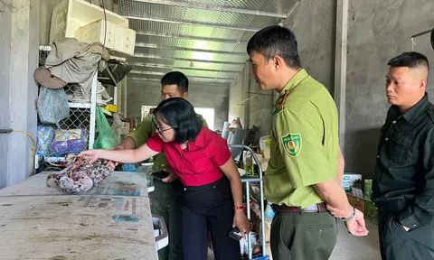 Kiểm tra hộ dân, phát hiện 22 cá thể Sóc bụng đỏ đông lạnh