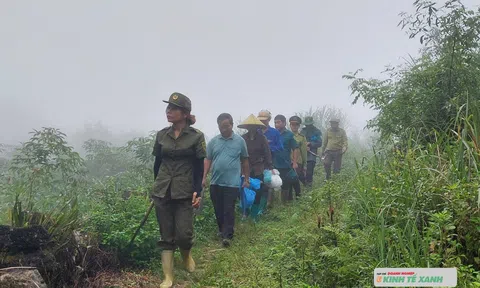 Bản giao hưởng của những mầm xanh trên Cao nguyên đá