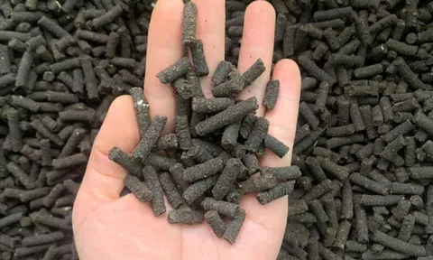 Vai trò của phân bón hữu cơ trong phát triển nông nghiệp xanh