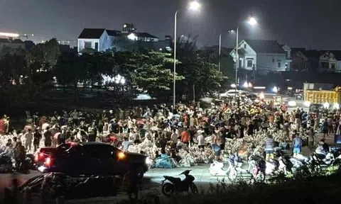 Nhanh chóng gia cố đê điều, khôi phục sản xuất sau lũ