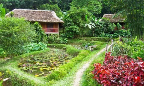 Khu resort Panhou – Viên ngọc xanh giữa triền Tây Côn Lĩnh