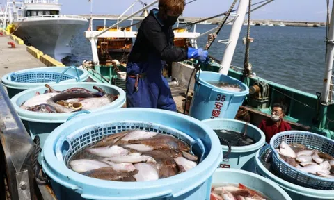 7 Nguyên tắc cốt lõi của HACCP – Doanh nghiệp thực phẩm cần nắm chắc