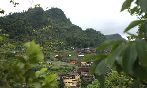Làng Văn hóa Du lịch Lô Lô Chải: Bình yên dưới chân cột cờ Lũng Cú – Nơi hội tụ tinh hoa cao nguyên Đá