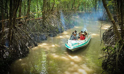 Cần Giờ (TP.HCM): Sản xuất xanh kết hợp du lịch sinh thái và bảo tồn rừng ngập mặn