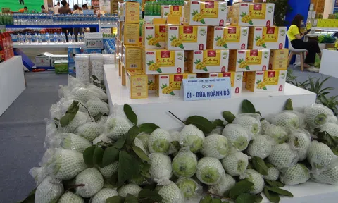 Kết nối và hợp tác xanh: Nền tảng cho phát triển kinh tế xã hội bền vững