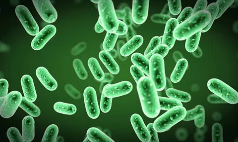 Chế phẩm sinh học HLC – Giải pháp xanh cho nông nghiệp bền vững